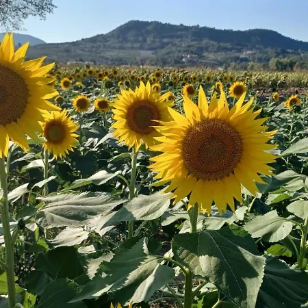 Casa Abano Terme Euganean Hills *